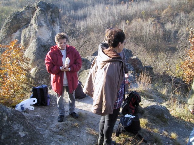 photo146.jpg
