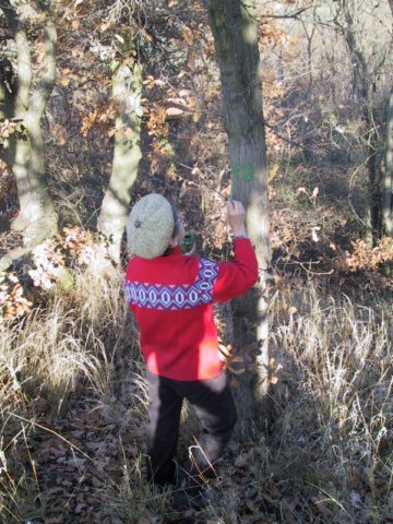 photo147.jpg