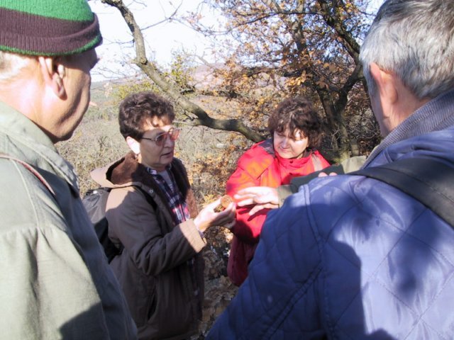 photo148.jpg