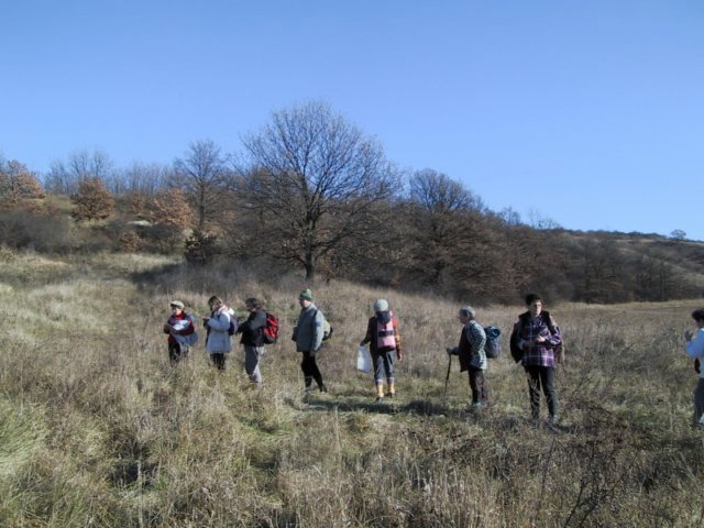 photo152.jpg
