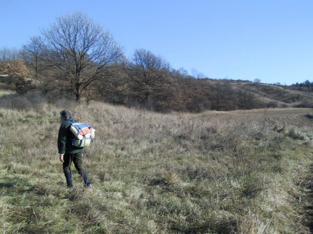 photo153.jpg