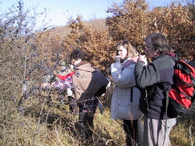photo154.jpg