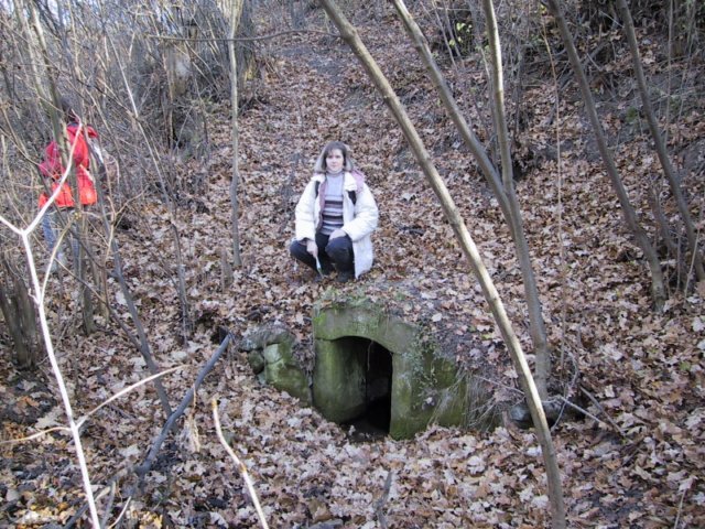 photo155.jpg