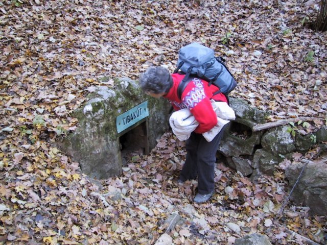 photo162.jpg
