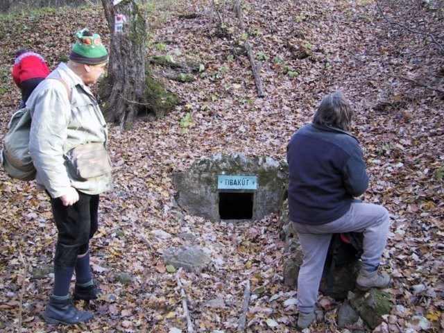 photo163.jpg