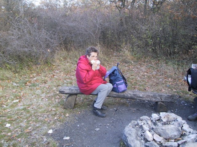 photo165.jpg
