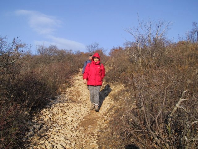 photo175.jpg