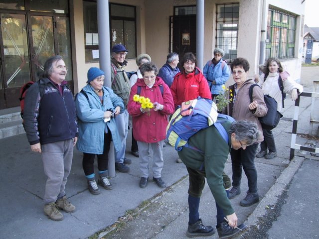 photo176.jpg