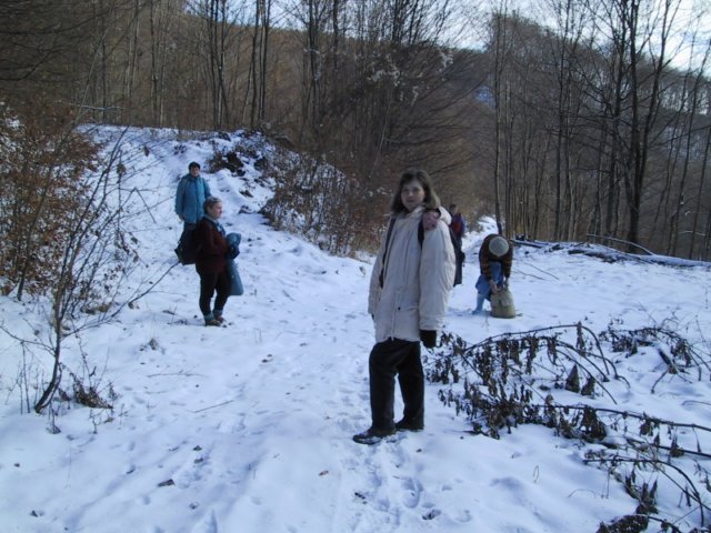 photo180.jpg
