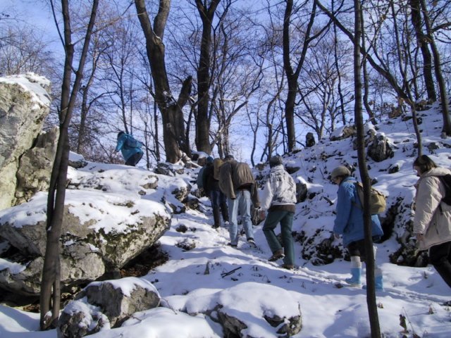 photo197.jpg