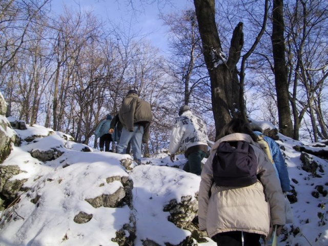 photo198.jpg