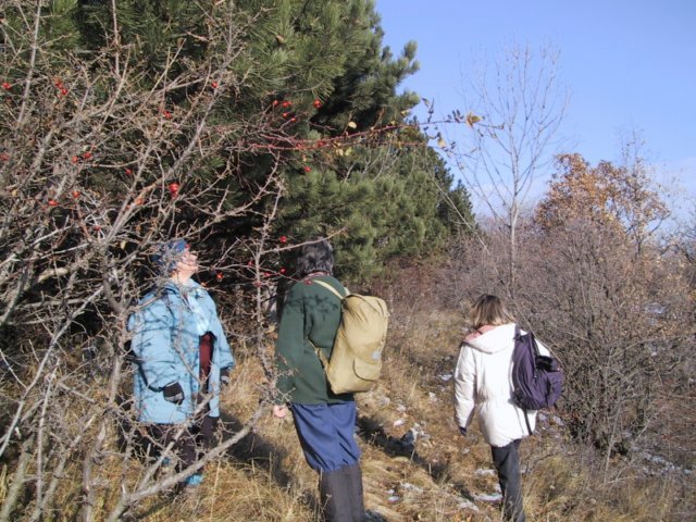 photo202.jpg