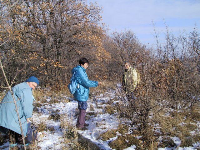 photo203.jpg