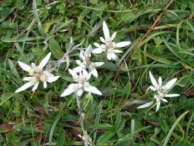 photo24.jpg