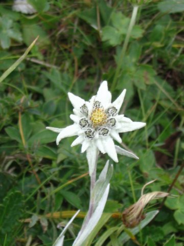 photo25.jpg