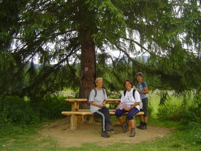 photo38.jpg