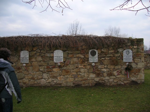 photo04.jpg