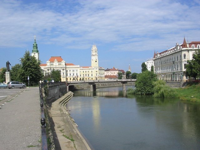 photo29.jpg
