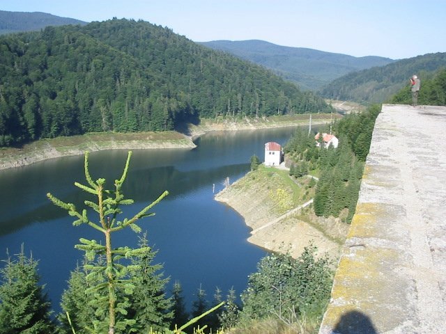 photo35.jpg