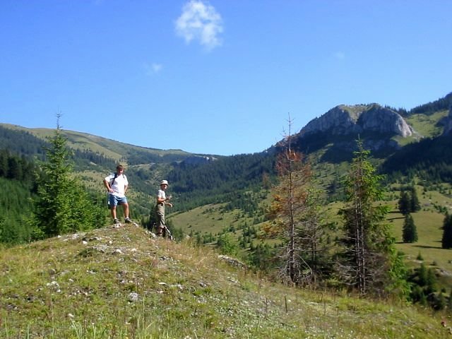 photo44.jpg