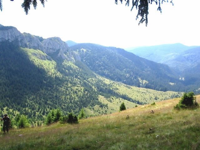 photo45.jpg