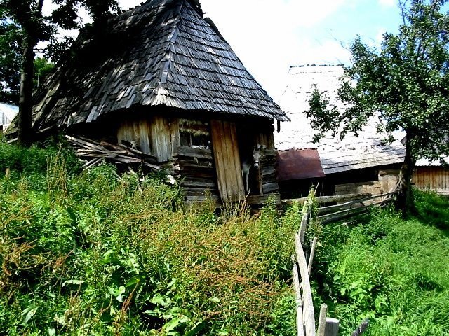 photo47.jpg