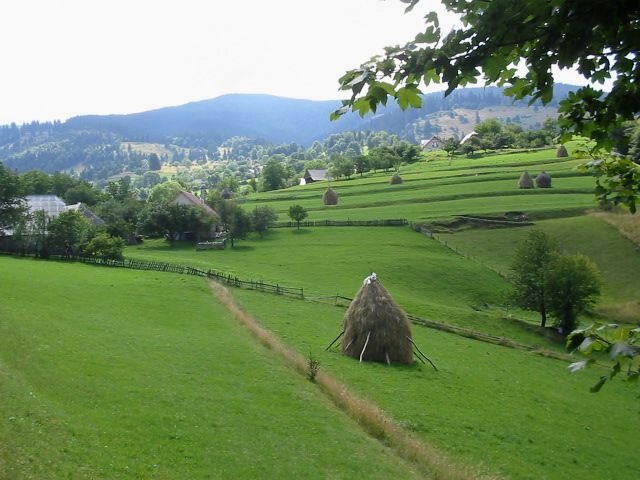 photo48.jpg