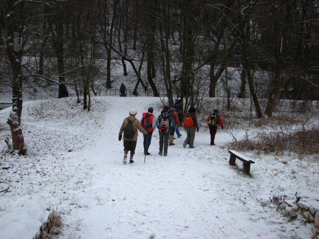 photo01.jpg