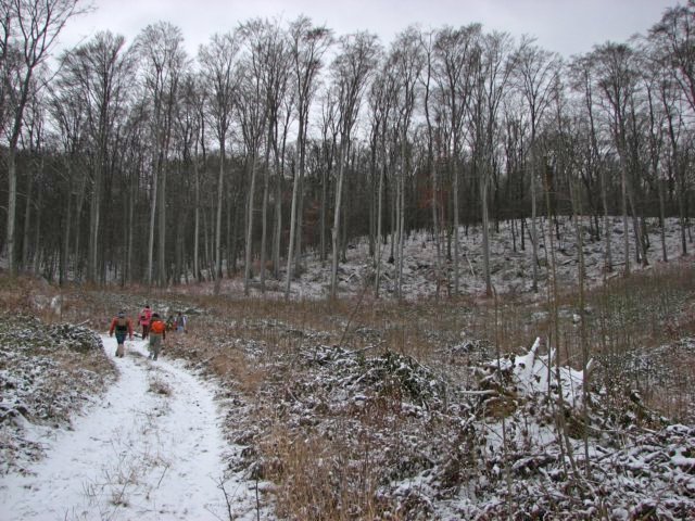 photo03.jpg