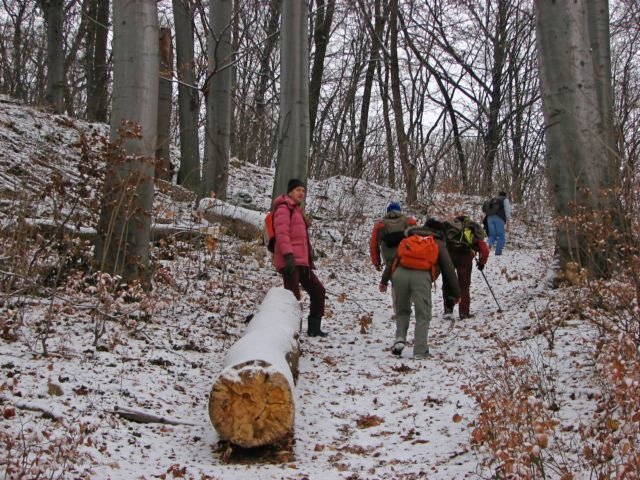 photo04.jpg