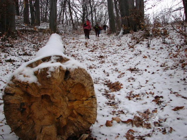 photo06.jpg