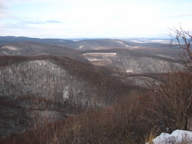 photo18.jpg