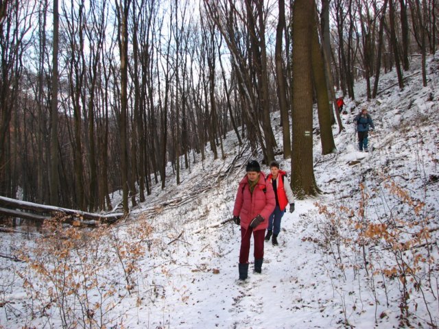 photo19.jpg