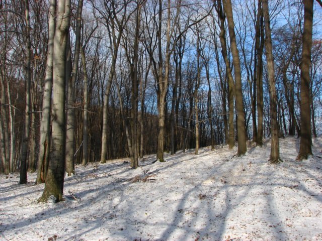 photo22.jpg