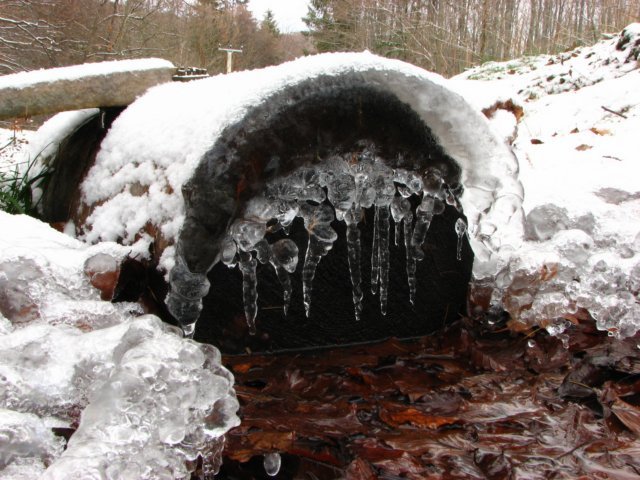photo25.jpg