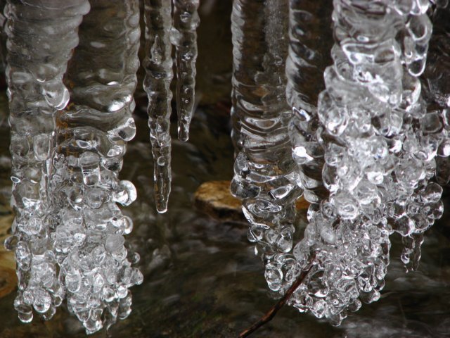photo26.jpg