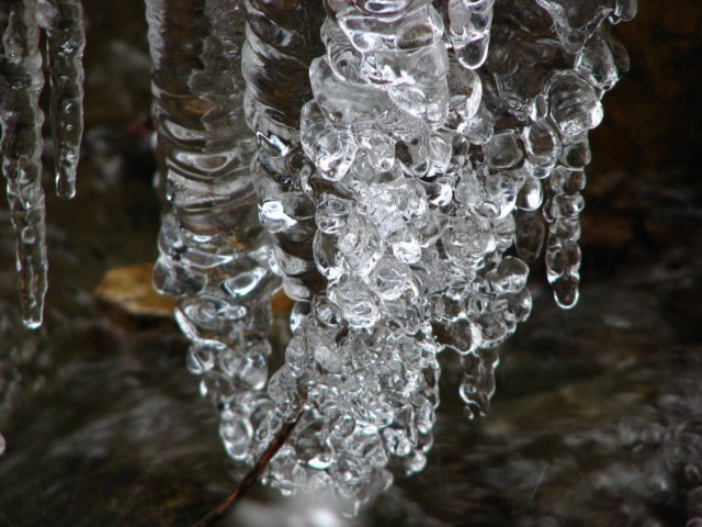 photo27.jpg