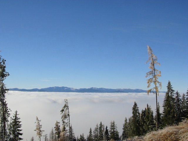 photo04.jpg