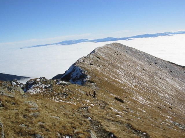 photo10.jpg
