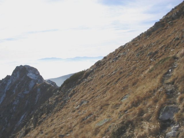 photo36.jpg