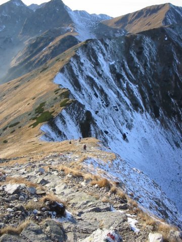 photo44.jpg