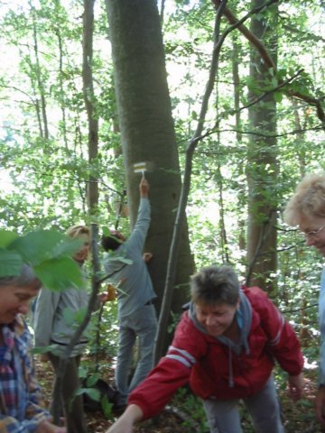 photo003.jpg