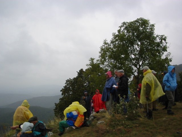 photo005.jpg