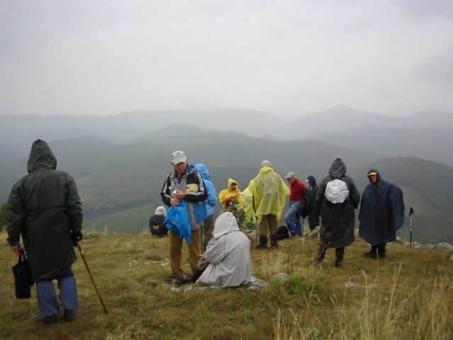 photo006.jpg