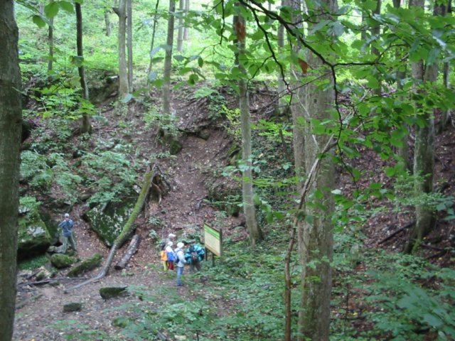 photo008.jpg