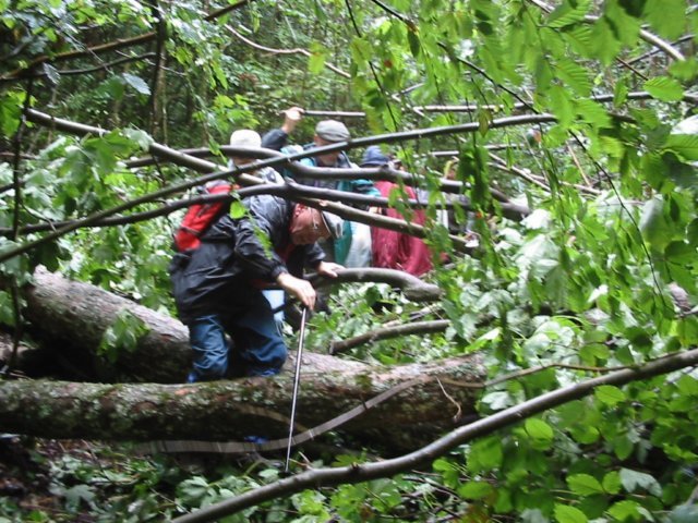 photo009.jpg
