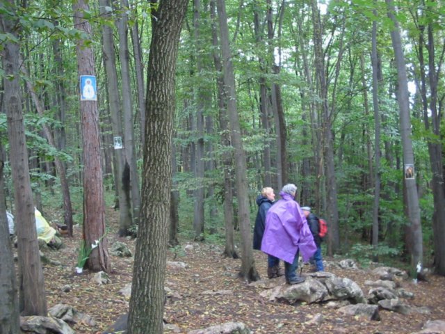photo011.jpg