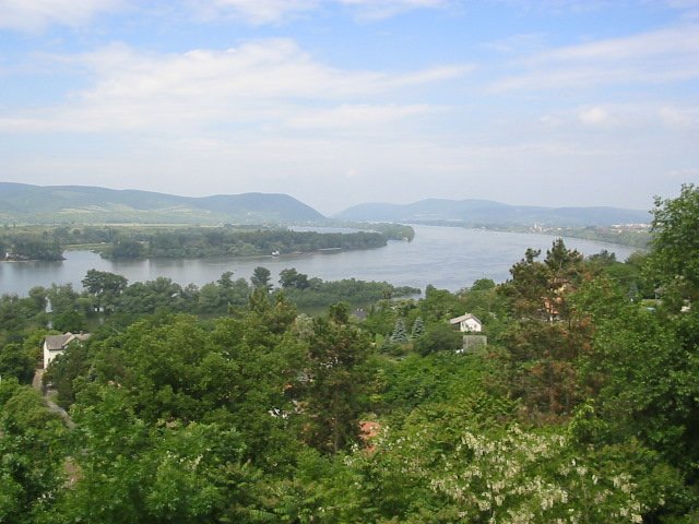 photo016.jpg