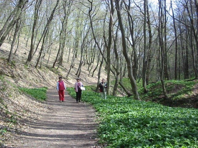 photo032.jpg