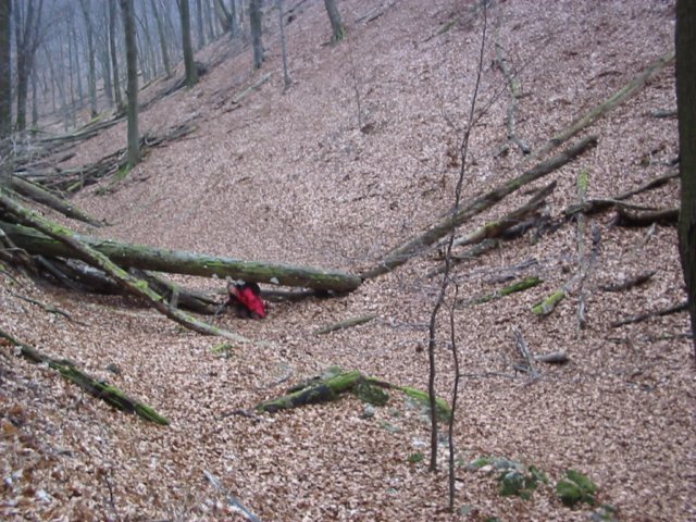 photo036.jpg